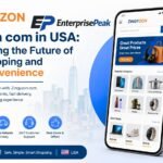 Zingyzon com in USA